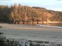 ./images/calvert/beach/20160705/beach20160705_212503.jpg