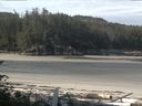 ./images/calvert/beach/20160706/beach20160706_091002.jpg