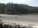 ./images/calvert/beach/20160706/beach20160706_092001.jpg