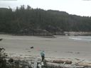 ./images/calvert/beach/20160710/beach20160710_112002.jpg