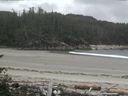 ./images/calvert/beach/20160712/beach20160712_131502.jpg