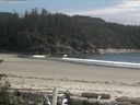 ./images/calvert/beach/20160713/beach20160713_172502.jpg