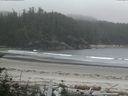 ./images/calvert/beach/20160716/beach20160716_111003.jpg