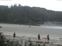 ./images/calvert/beach/20160719/beach20160719_104002.jpg
