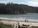 ./images/calvert/beach/20160725/beach20160725_170002.jpg