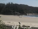 ./images/calvert/beach/20160729/beach20160729_152502.jpg