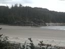 ./images/calvert/beach/20160731/beach20160731_170003.jpg