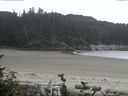 ./images/calvert/beach/20160731/beach20160731_171003.jpg