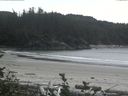 ./images/calvert/beach/20160801/beach20160801_145502.jpg