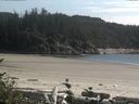 ./images/calvert/beach/20160801/beach20160801_165002.jpg