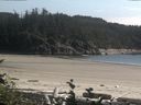 ./images/calvert/beach/20160801/beach20160801_170003.jpg