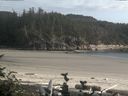 ./images/calvert/beach/20160801/beach20160801_191502.jpg