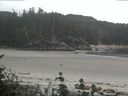 ./images/calvert/beach/20160803/beach20160803_202502.jpg