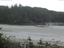 ./images/calvert/beach/20160804/beach20160804_070003.jpg