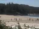 ./images/calvert/beach/20160811/beach20160811_124003.jpg