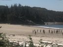 ./images/calvert/beach/20160811/beach20160811_124502.jpg
