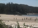 ./images/calvert/beach/20160811/beach20160811_125502.jpg