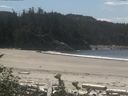 ./images/calvert/beach/20160812/beach20160812_132502.jpg
