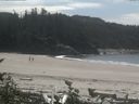 ./images/calvert/beach/20160812/beach20160812_141003.jpg
