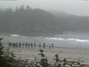 ./images/calvert/beach/20160813/beach20160813_200001.jpg