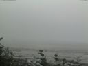 ./images/calvert/beach/20160814/beach20160814_150003.jpg