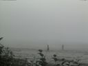 ./images/calvert/beach/20160814/beach20160814_151002.jpg