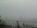 ./images/calvert/beach/20160814/beach20160814_151503.jpg