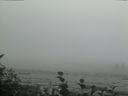 ./images/calvert/beach/20160814/beach20160814_153503.jpg