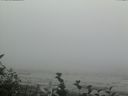 ./images/calvert/beach/20160814/beach20160814_154503.jpg