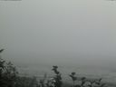 ./images/calvert/beach/20160814/beach20160814_170003.jpg