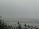 ./images/calvert/beach/20160814/beach20160814_173002.jpg