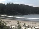 ./images/calvert/beach/20160815/beach20160815_122502.jpg