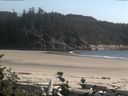 ./images/calvert/beach/20160816/beach20160816_171503.jpg