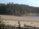 ./images/calvert/beach/20160817/beach20160817_184001.jpg
