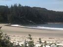 ./images/calvert/beach/20160818/beach20160818_114503.jpg