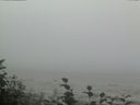 ./images/calvert/beach/20160819/beach20160819_093502.jpg