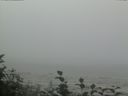 ./images/calvert/beach/20160819/beach20160819_095502.jpg