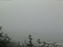 ./images/calvert/beach/20160819/beach20160819_101002.jpg