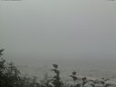 ./images/calvert/beach/20160819/beach20160819_103002.jpg