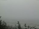 ./images/calvert/beach/20160819/beach20160819_105002.jpg