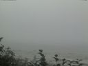 ./images/calvert/beach/20160819/beach20160819_105502.jpg