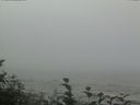 ./images/calvert/beach/20160819/beach20160819_110502.jpg