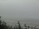 ./images/calvert/beach/20160819/beach20160819_111502.jpg