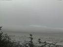 ./images/calvert/beach/20160819/beach20160819_112002.jpg