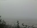 ./images/calvert/beach/20160819/beach20160819_114001.jpg