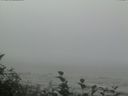 ./images/calvert/beach/20160819/beach20160819_114501.jpg