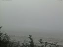 ./images/calvert/beach/20160819/beach20160819_115502.jpg