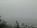 ./images/calvert/beach/20160819/beach20160819_120501.jpg