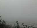 ./images/calvert/beach/20160819/beach20160819_121001.jpg