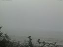 ./images/calvert/beach/20160819/beach20160819_123003.jpg